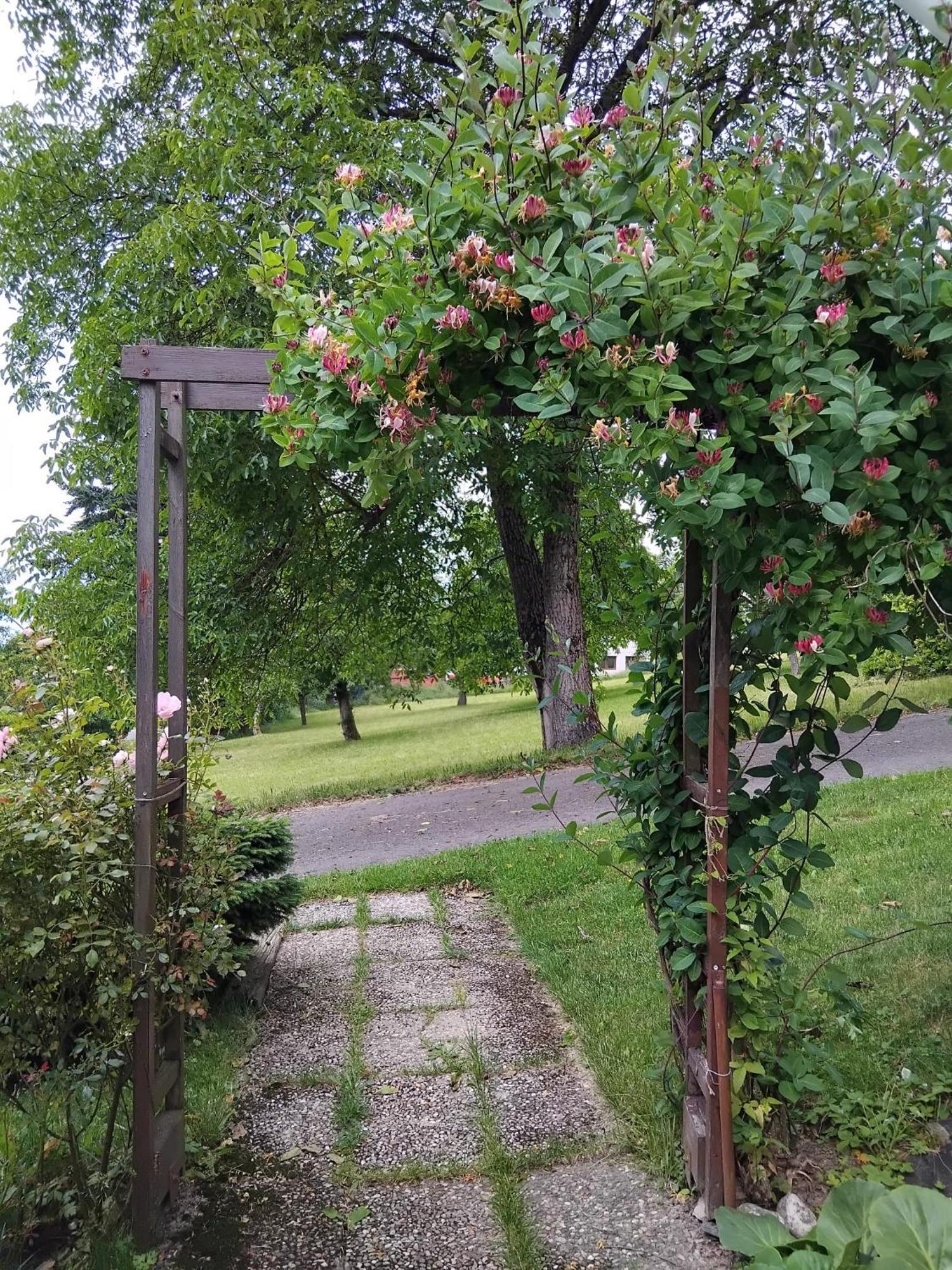 Lodge Pavla Jablonec nad Nisou