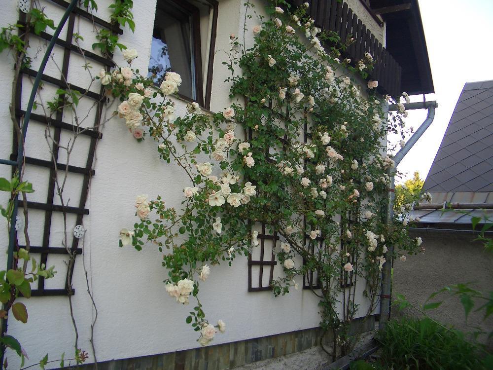 Pavla Lodge